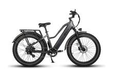 Load image into Gallery viewer, Dirwin Pioneer Step Thru Fat Tire E-Bike
