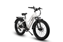 Load image into Gallery viewer, Dirwin Pioneer Step Thru Fat Tire E-Bike
